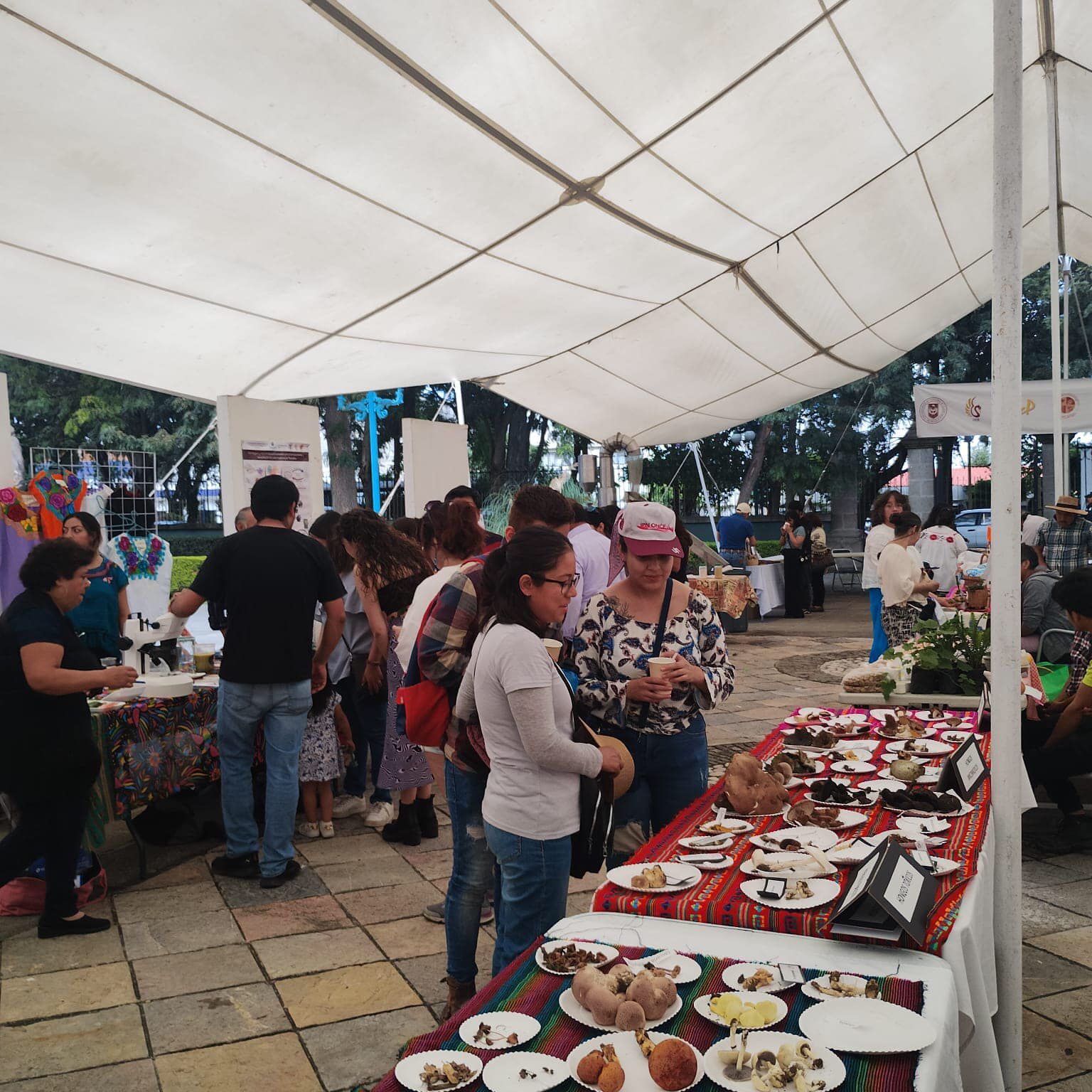 Rescata y difunde saberes ancestrales el 'Festival Etnobiológico Tlaxcallan'